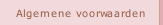 Algemene voorwaarden